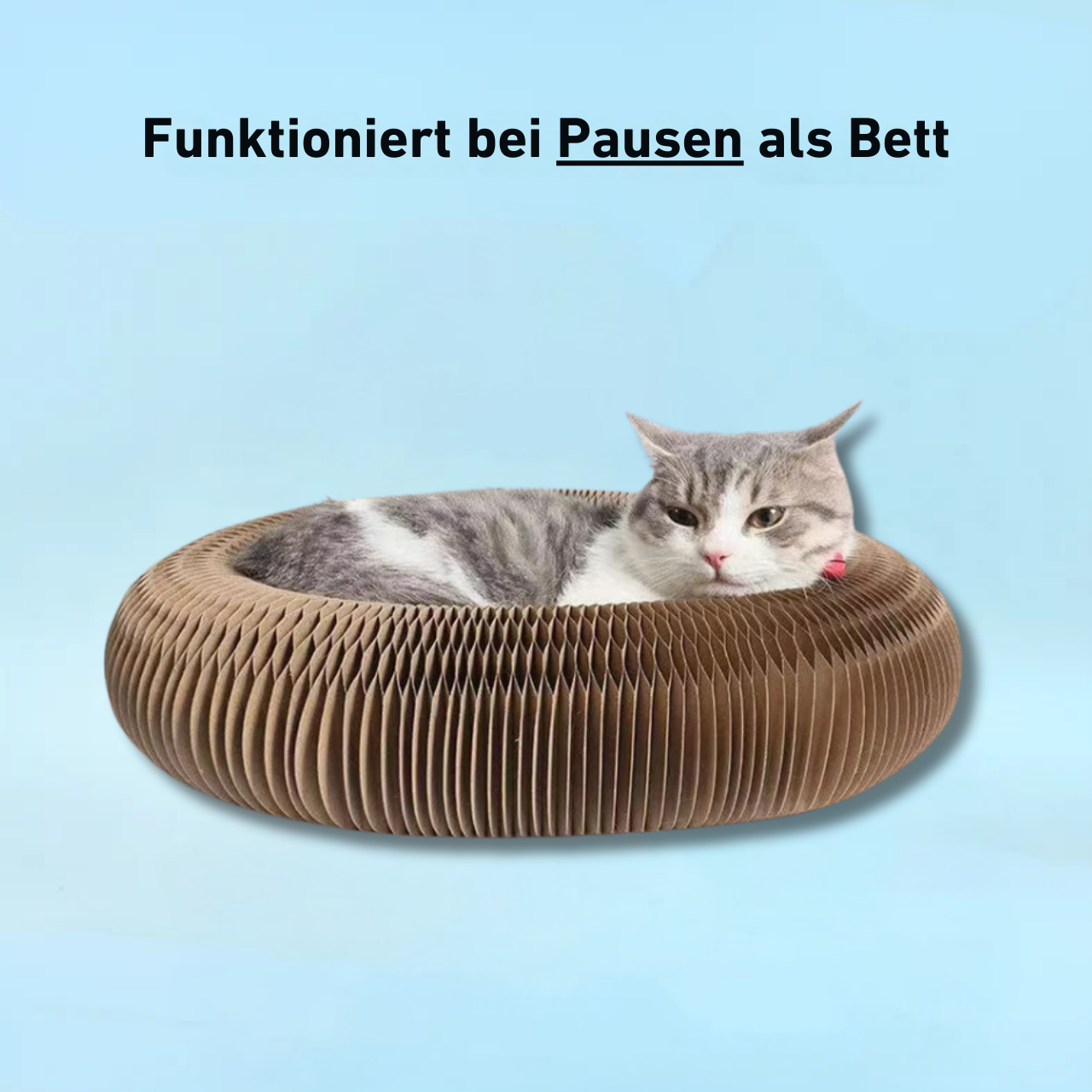 PouncePlay™ - Krabbenspiel mit Glocke