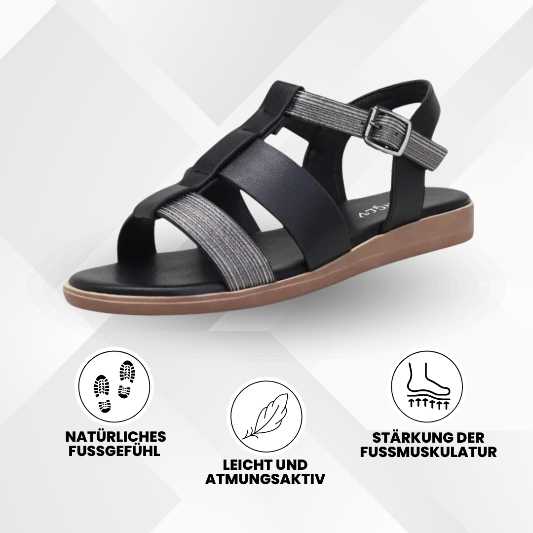 HikeHub - OrthoSun Pro