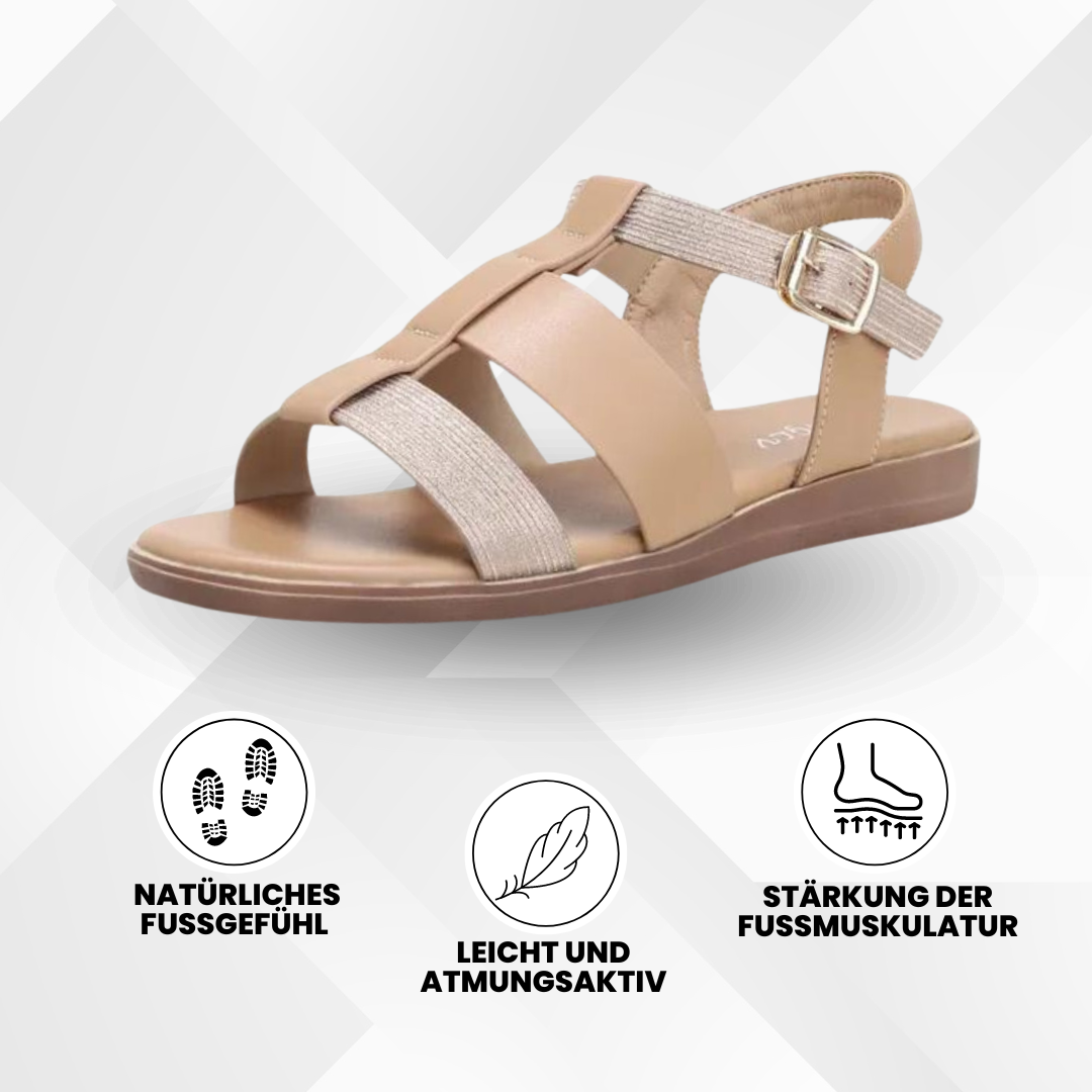 HikeHub - OrthoSun Pro