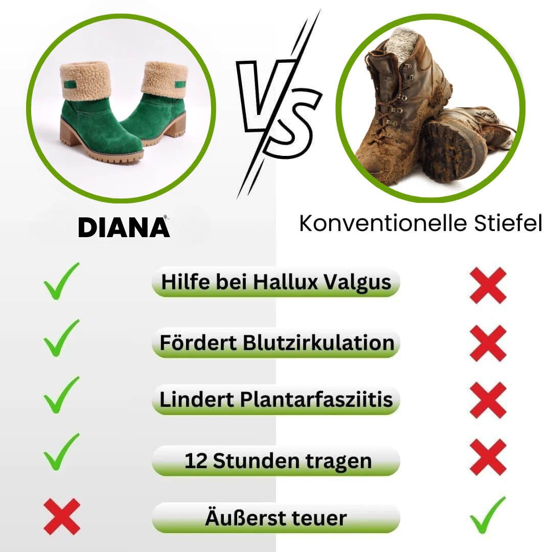 HikeHub - DIANA