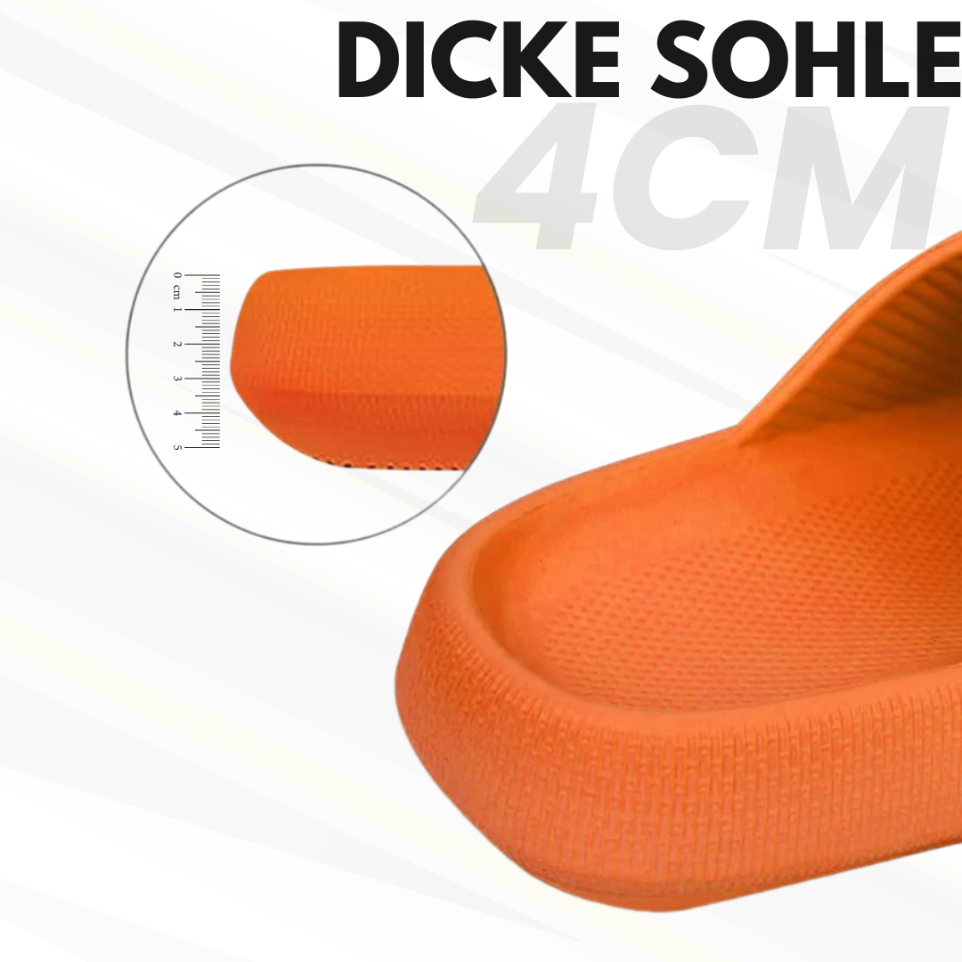 HikeHub - Orthostep