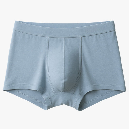 Leo | Herren Slips - Atmungsaktiv und nahtlos