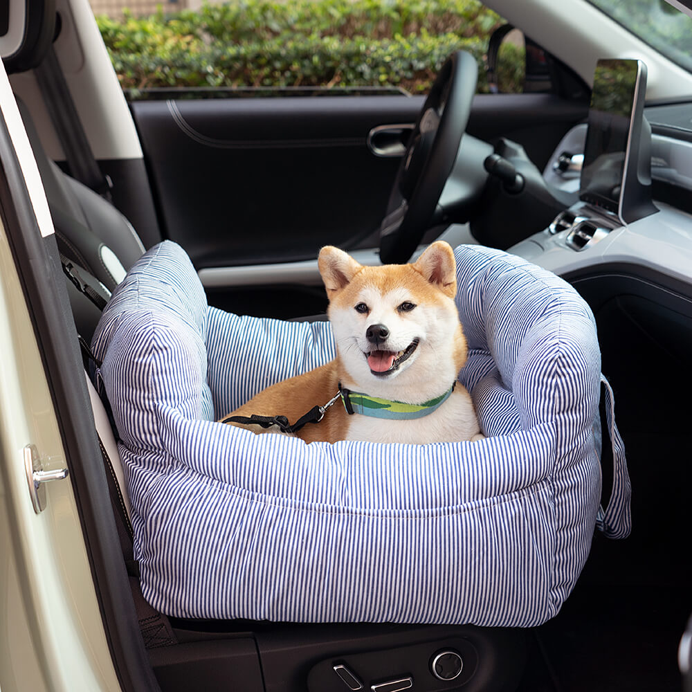 Hunde Auto Bett