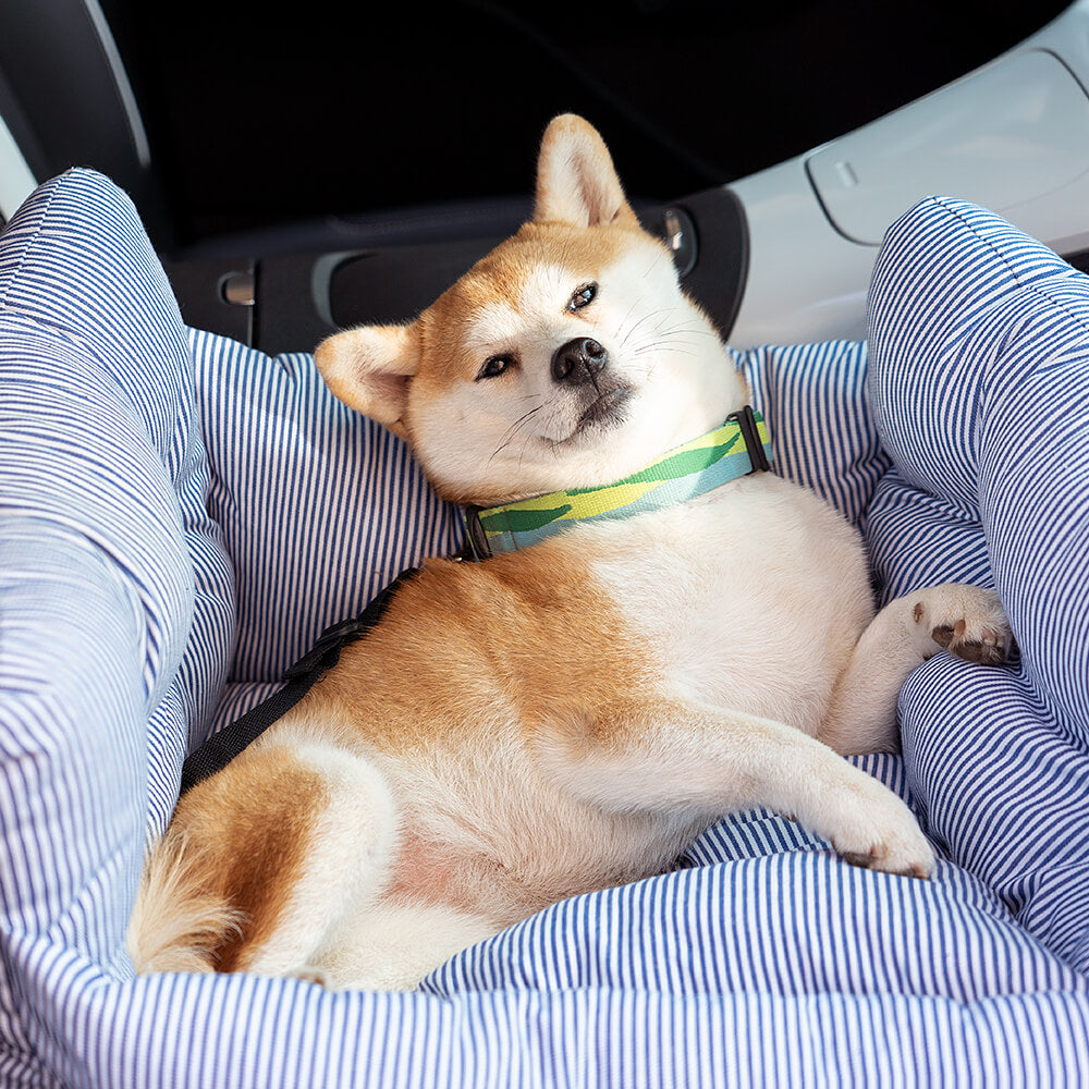 Hunde Auto Bett