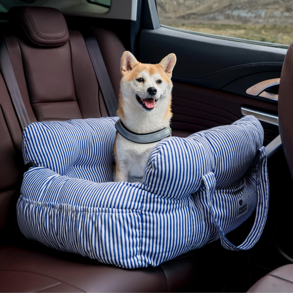 Hunde Auto Bett
