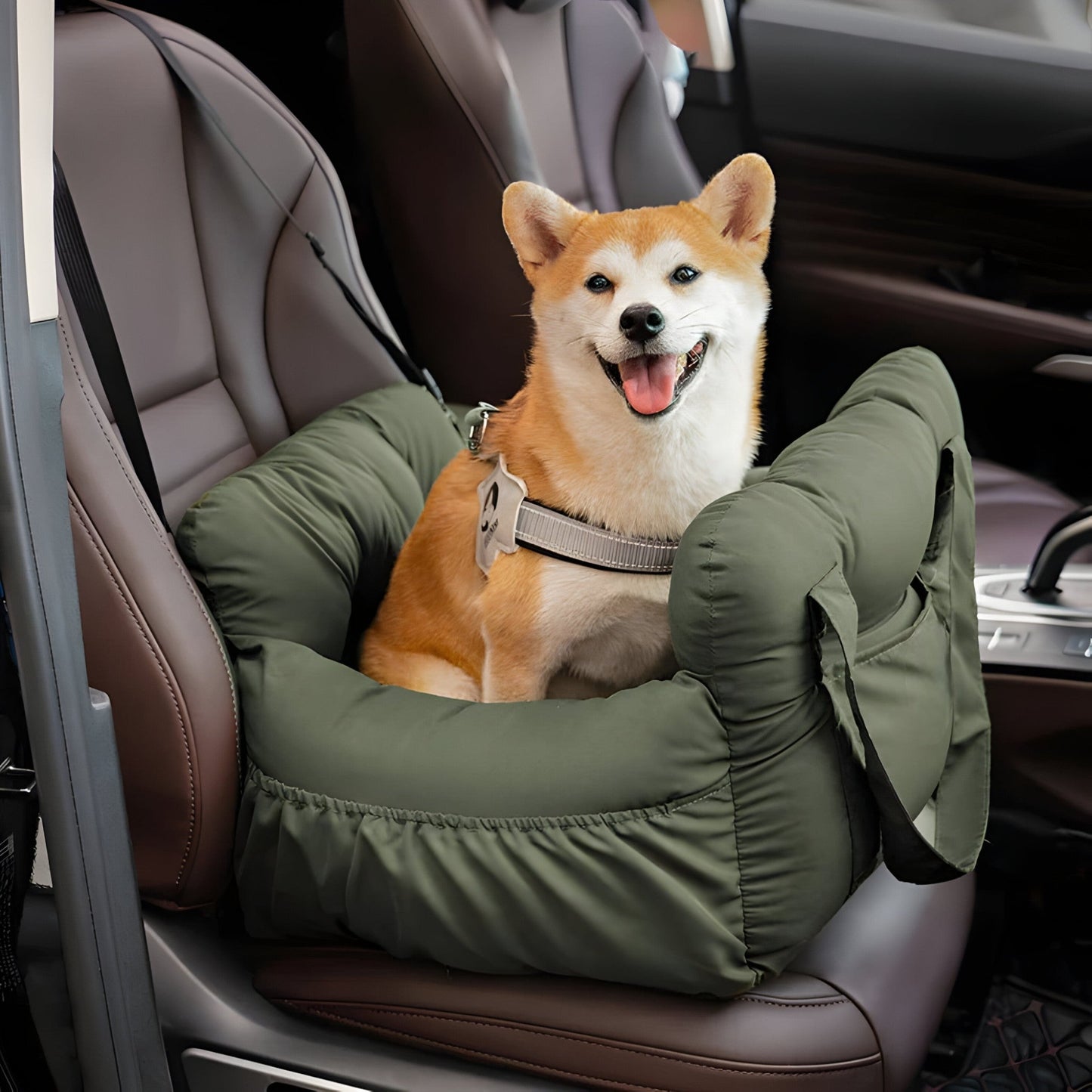 Hunde Auto Bett