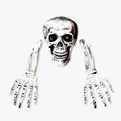 Gruselige Halloween-Dekoration - Skelett, Knochen und menschlicher Schädel für schaurige Feste