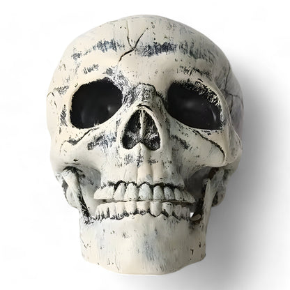 Gespenstische Halloween-Dekoration - Plastik-Skelett und Schädelornamente