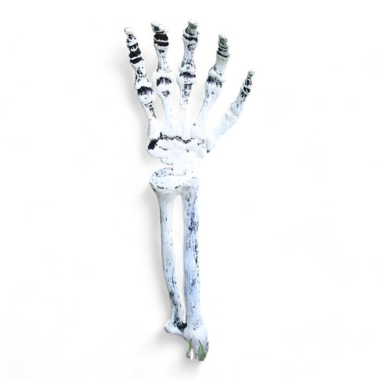 Gespenstische Halloween-Dekoration - Plastik-Skelett und Schädelornamente