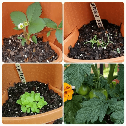 SkyGrow™ — Transformeer kleine ruimtes in weelderige, moeiteloze tuinen