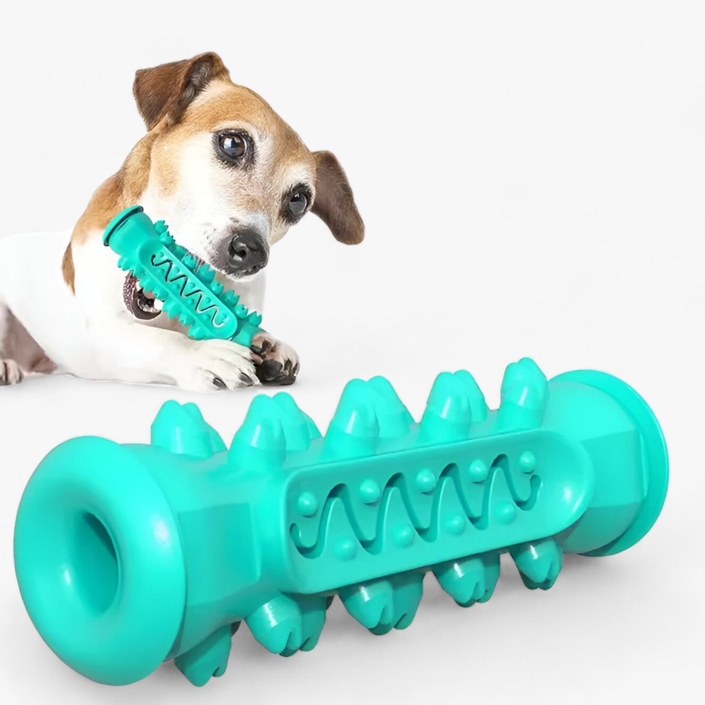Kauspielzeug aus Gummi - Reinigt die Zähne und unterhält Hunde